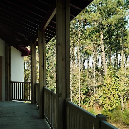 Hotel La Maison De La Prade Messanges  Zewnętrze zdjęcie